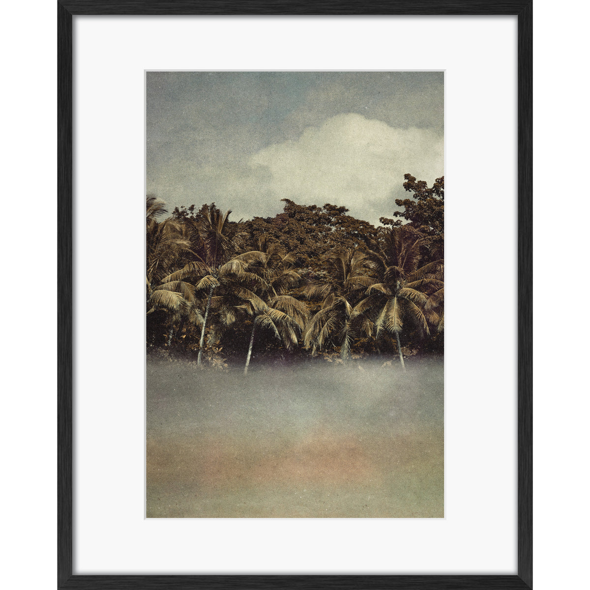 Coconut Dream
