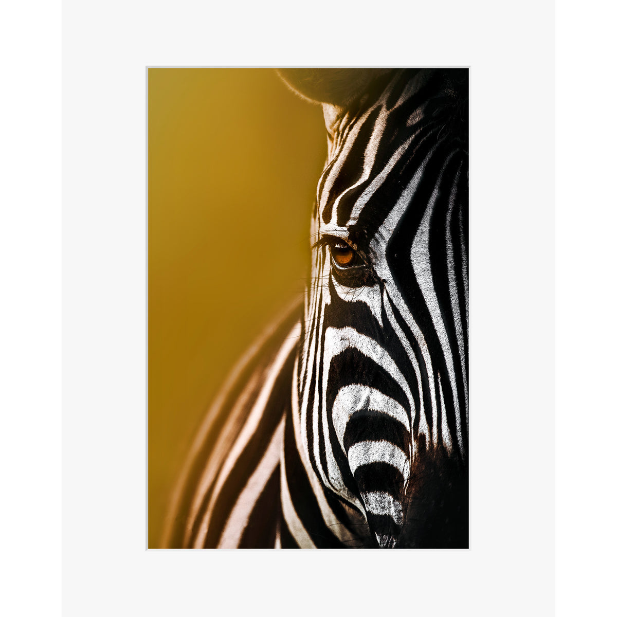 Stripe is my elegance