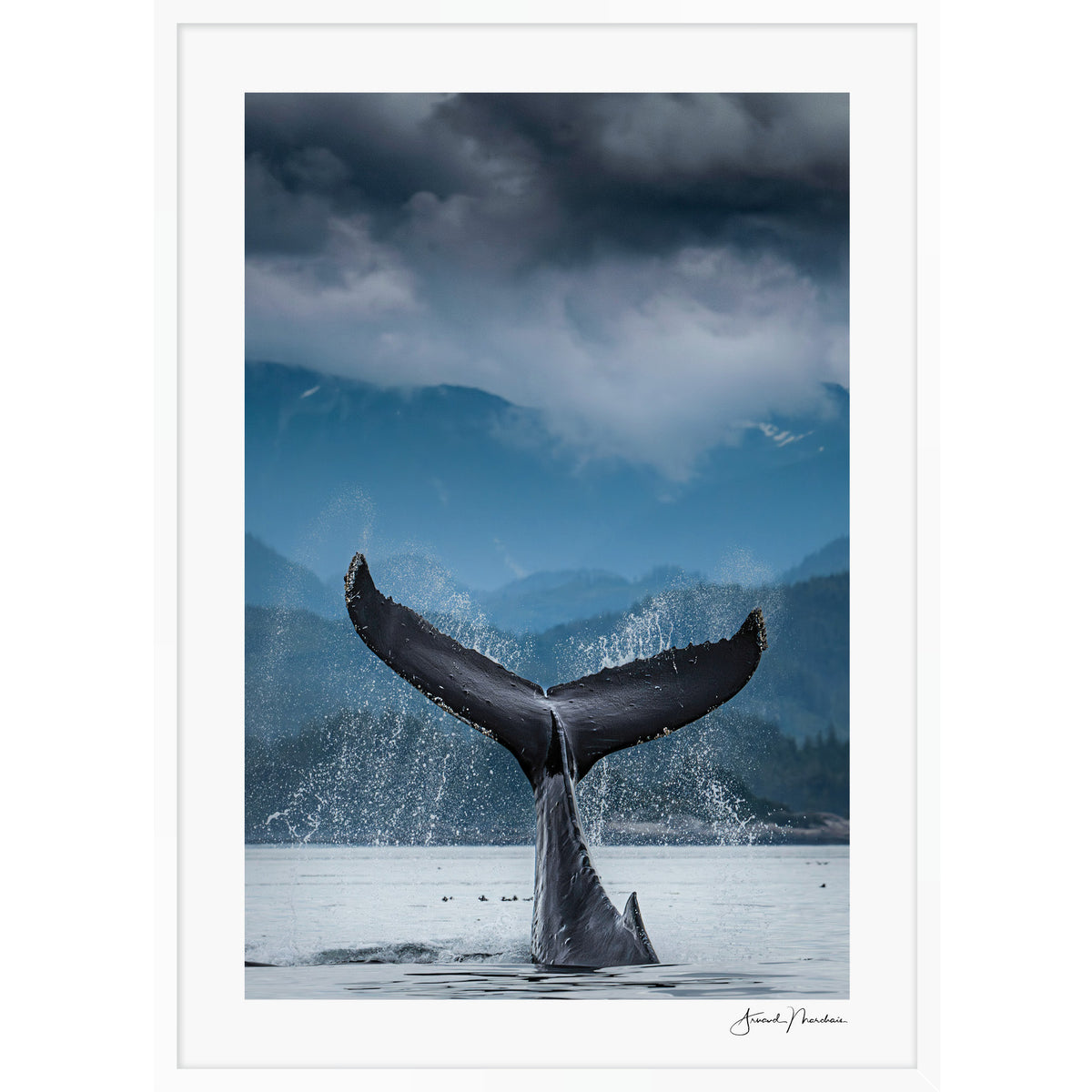 Vancouver Island