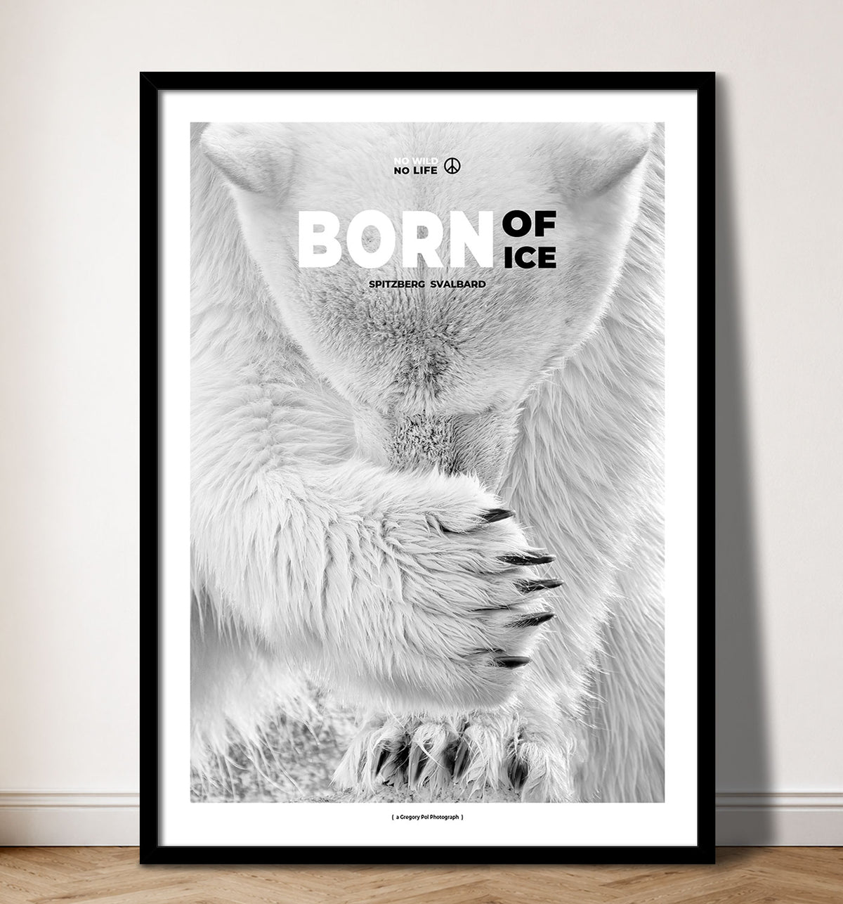 Born of Ice
