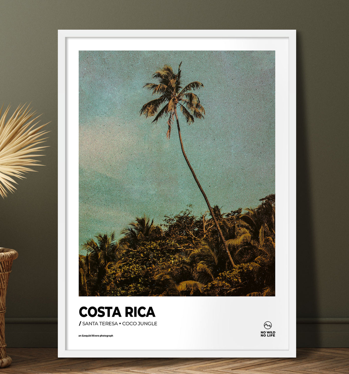 Coco Jungle