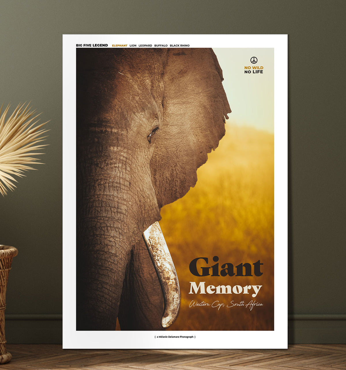 Giant Memory