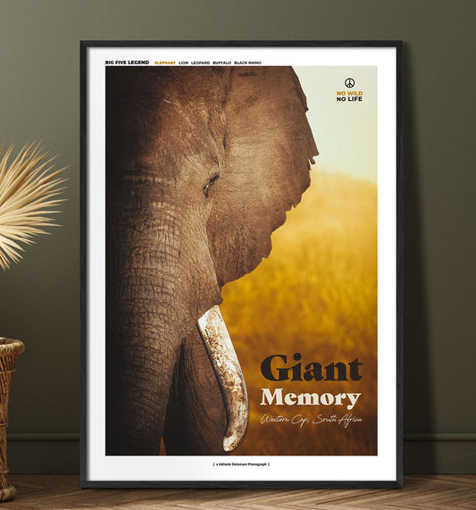 Giant Memory
