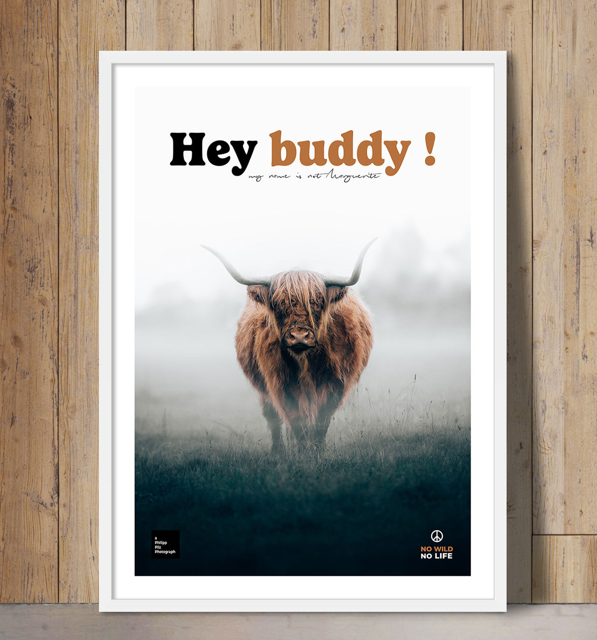 Hey Buddy !