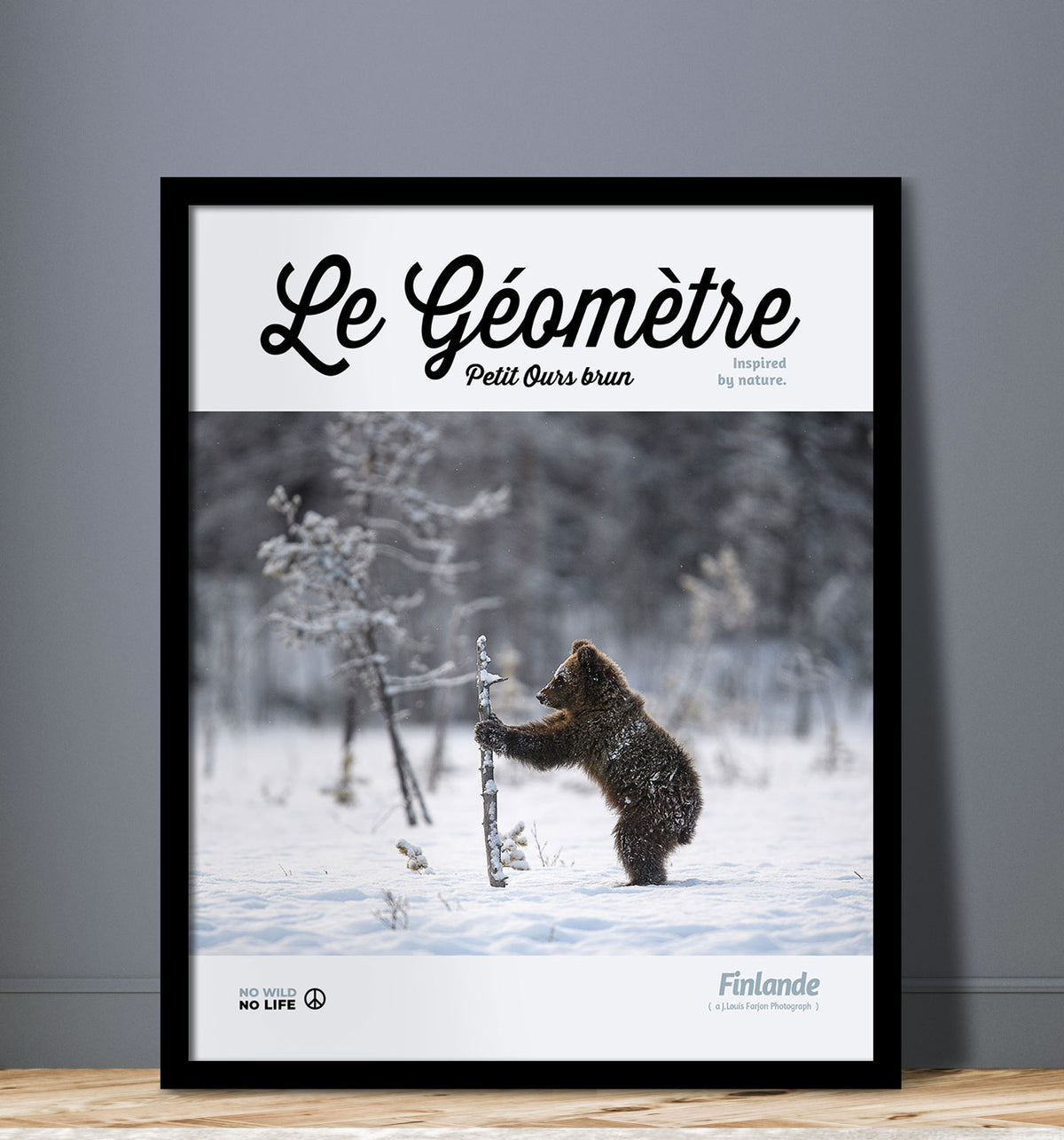 Le Géomètre