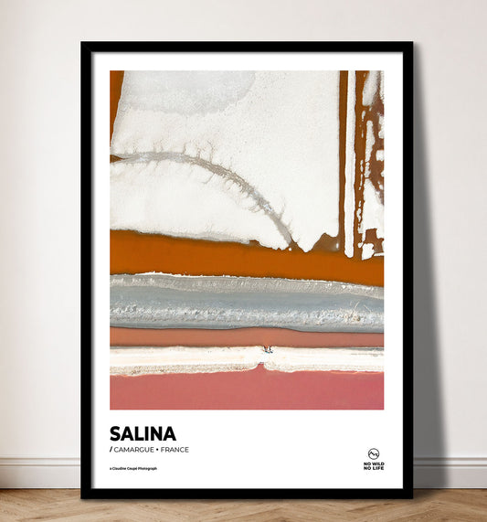 Salina