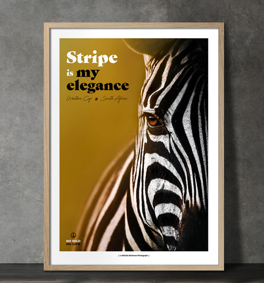 Stripe is my Elegance