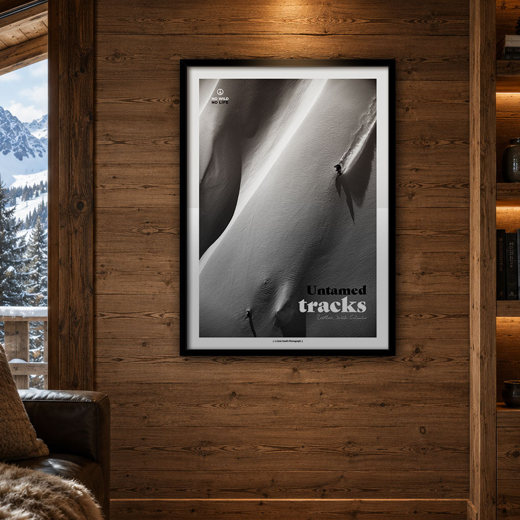 AFFICHES MOUNTAIN RIDERS
