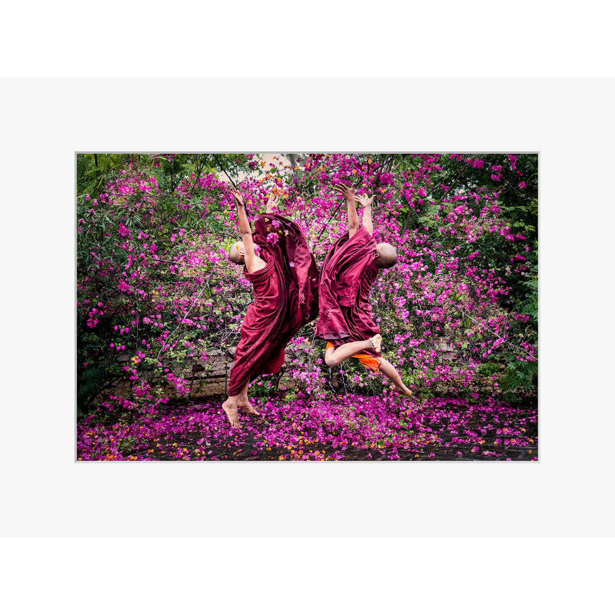 Bloom of Joy