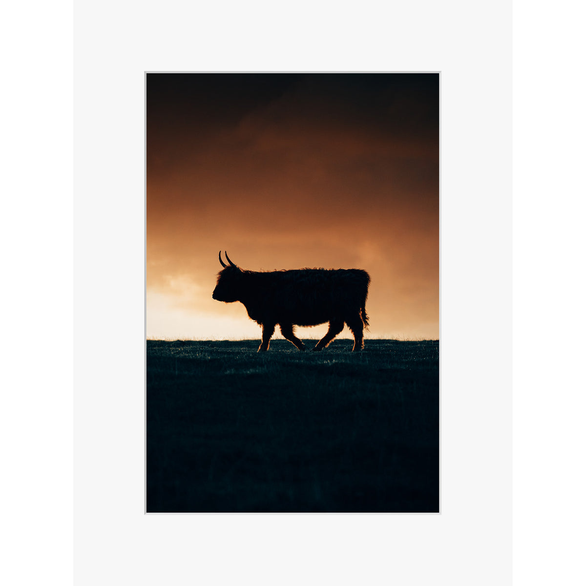 Born of Highlands