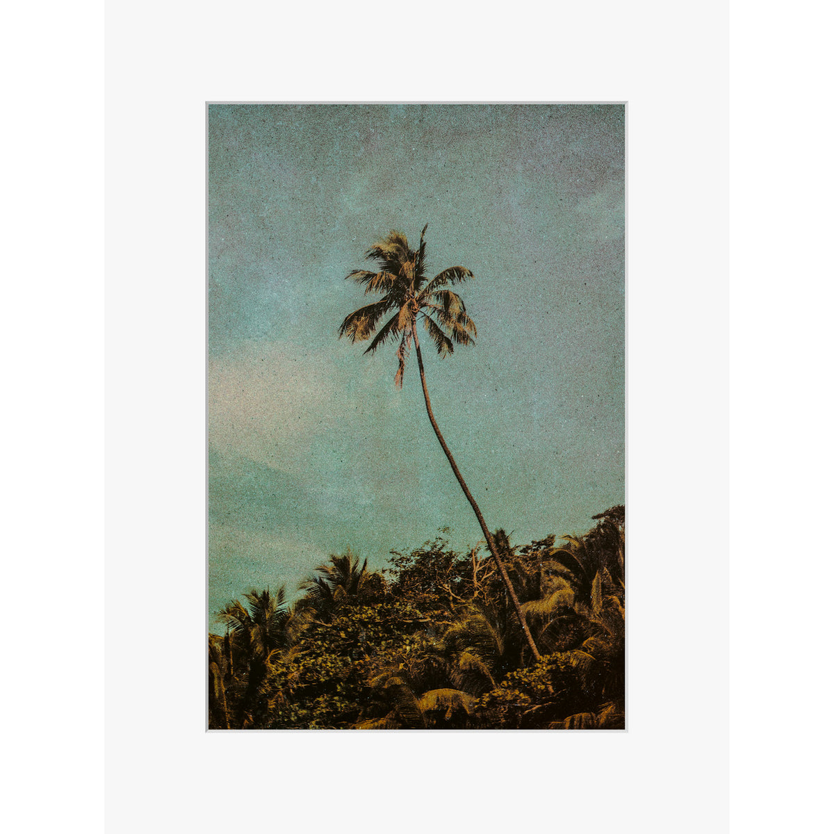 Coco Jungle