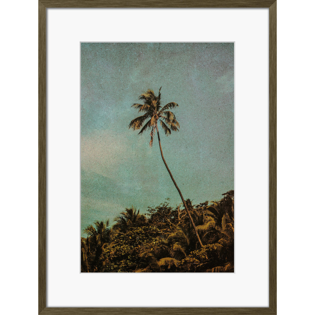 Coco Jungle