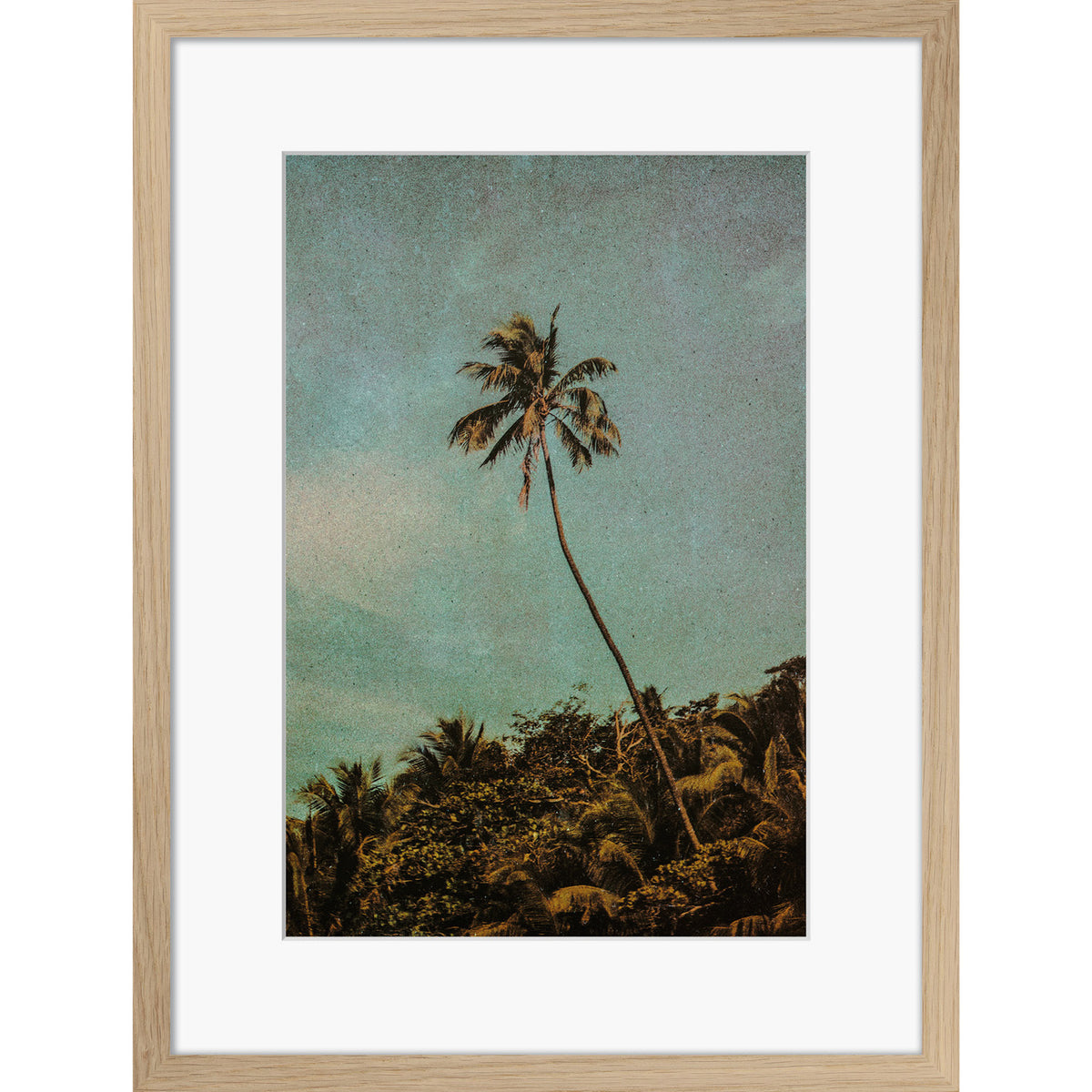 Coco Jungle