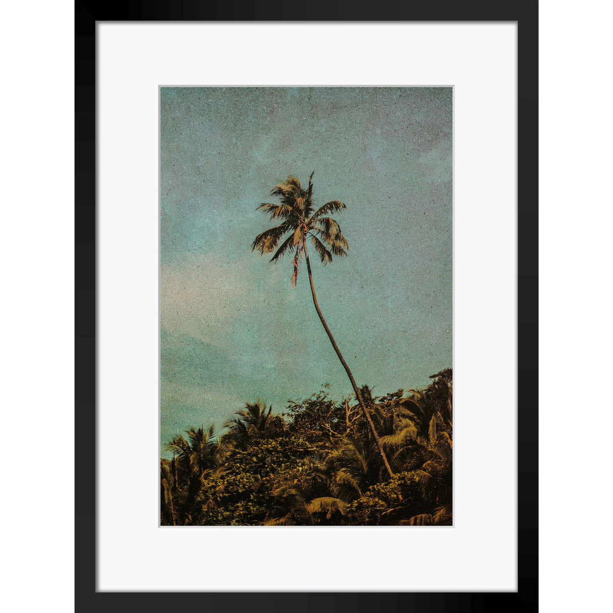 Coco Jungle