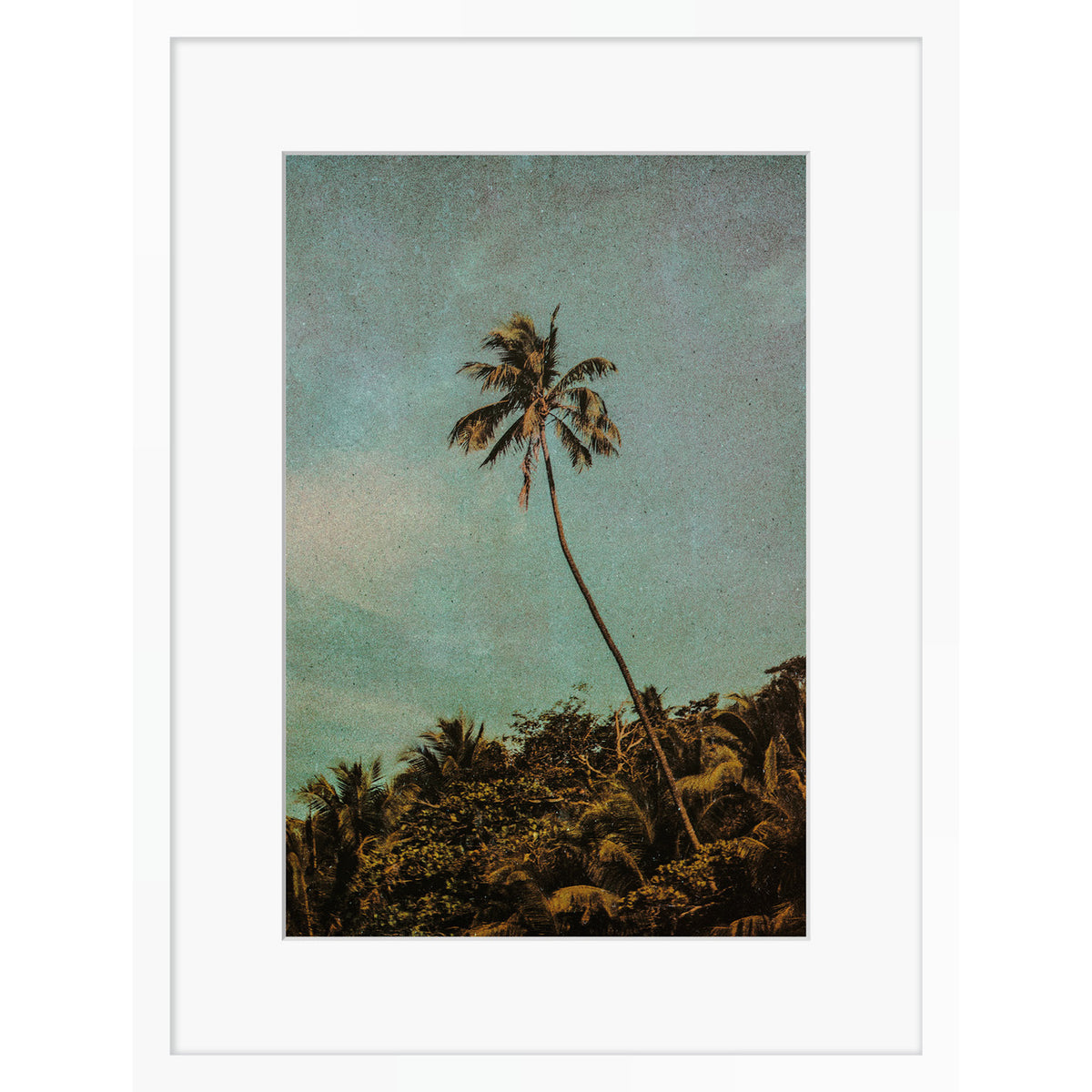 Coco Jungle
