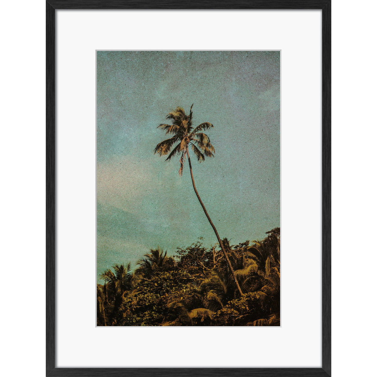 Coco Jungle