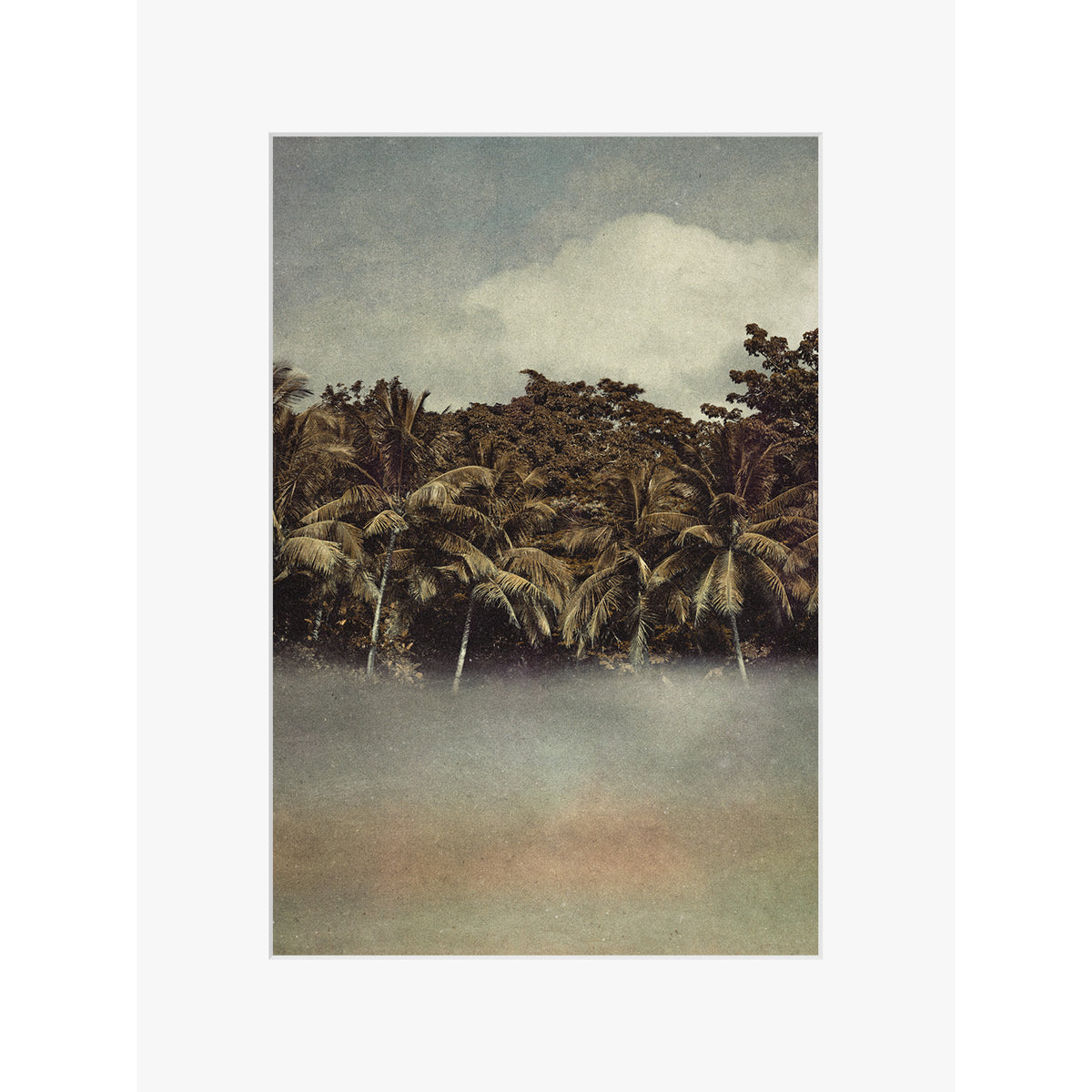 Coconut Dream