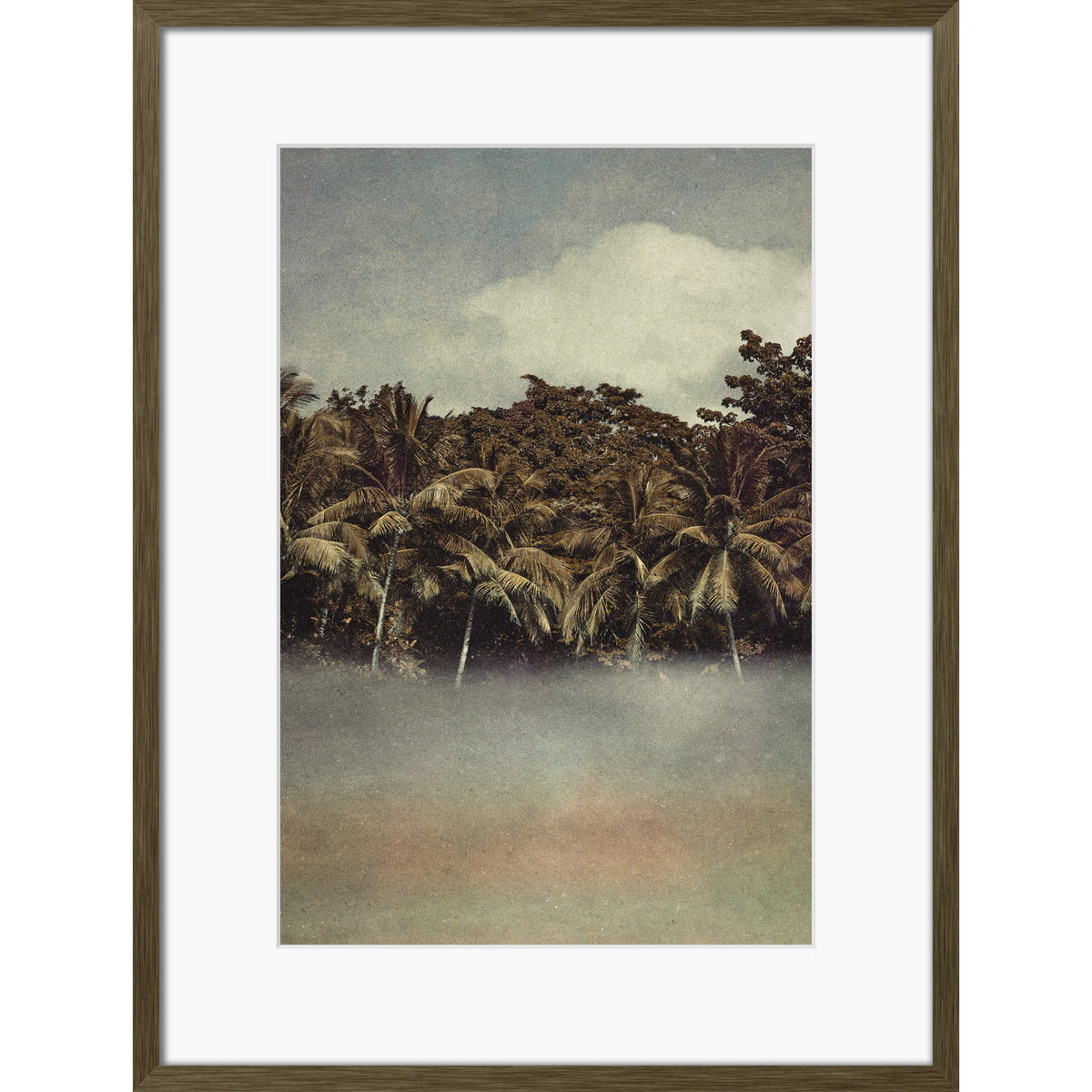 Coconut Dream