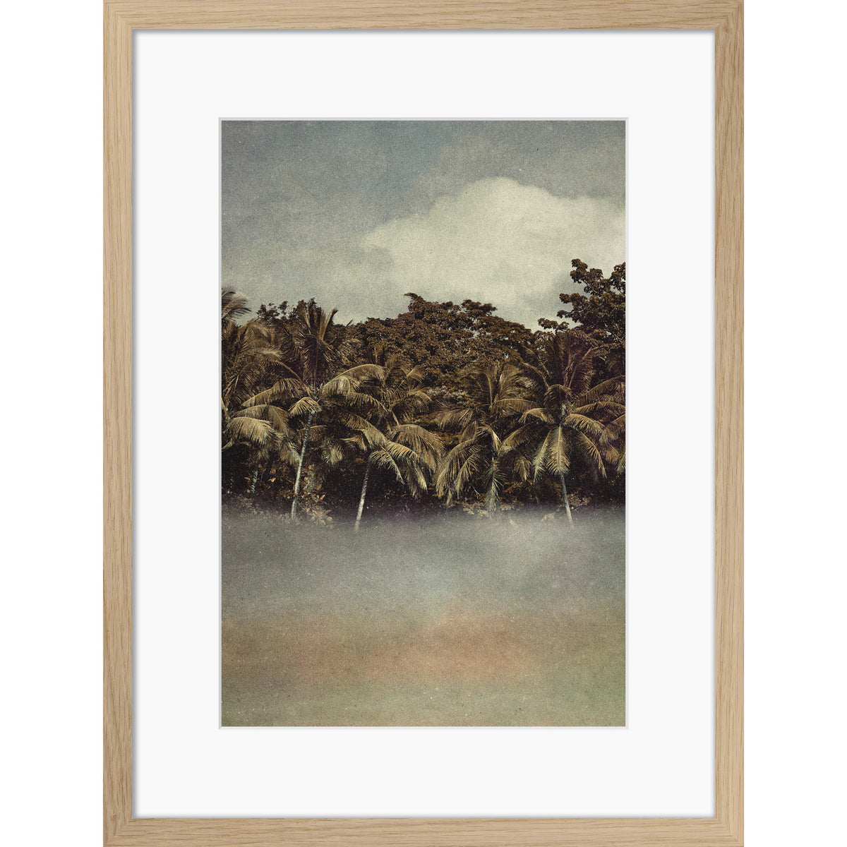 Coconut Dream