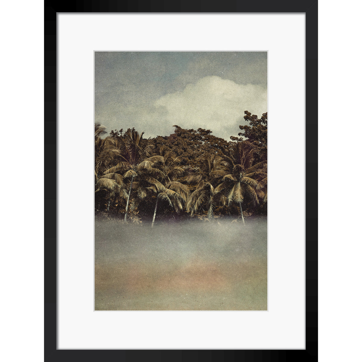 Coconut Dream