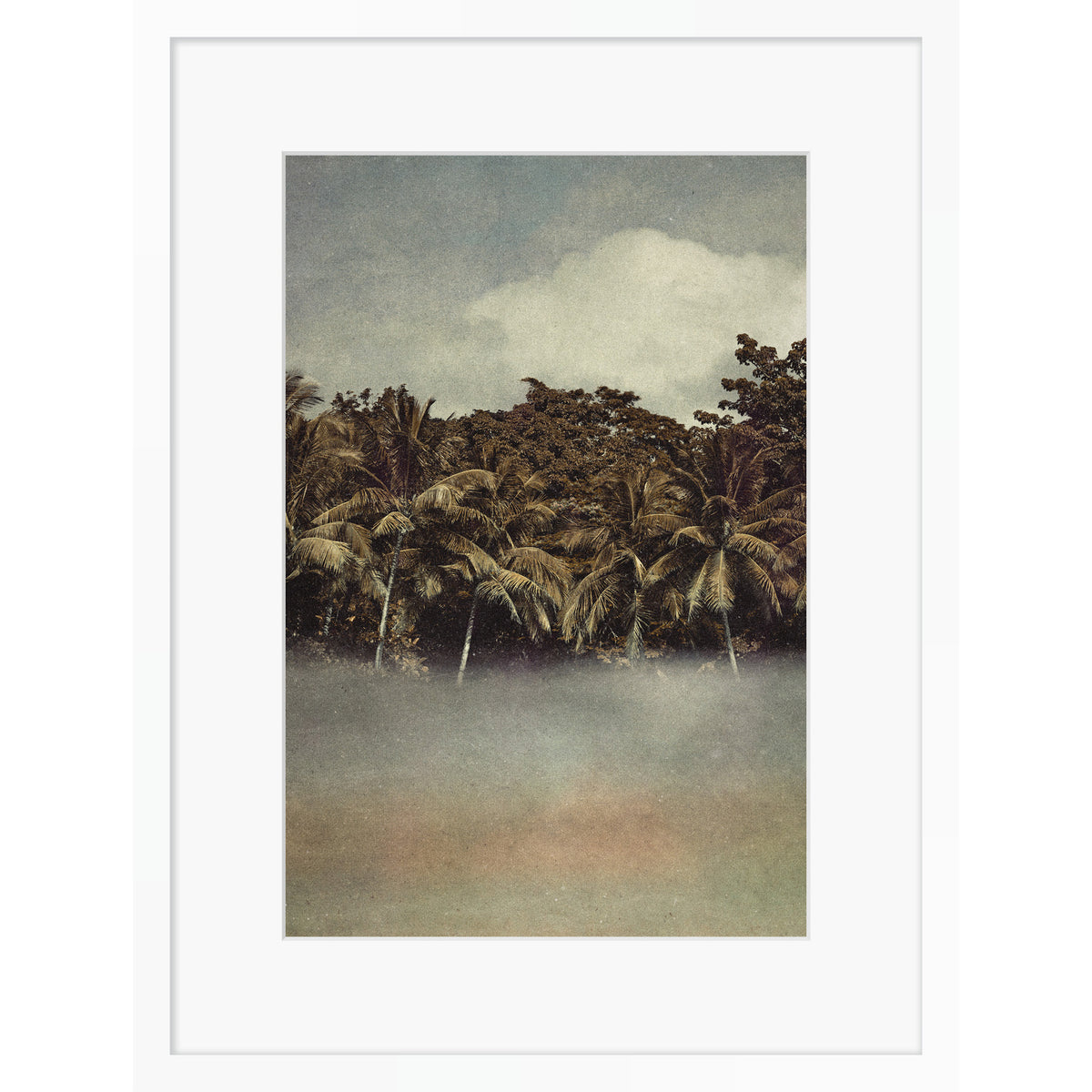 Coconut Dream