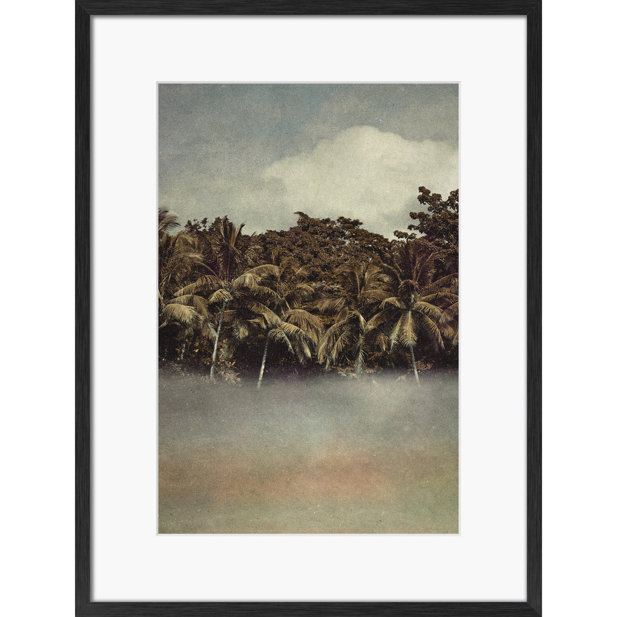 Coconut Dream