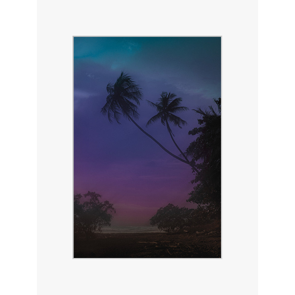 Jungle Shadows