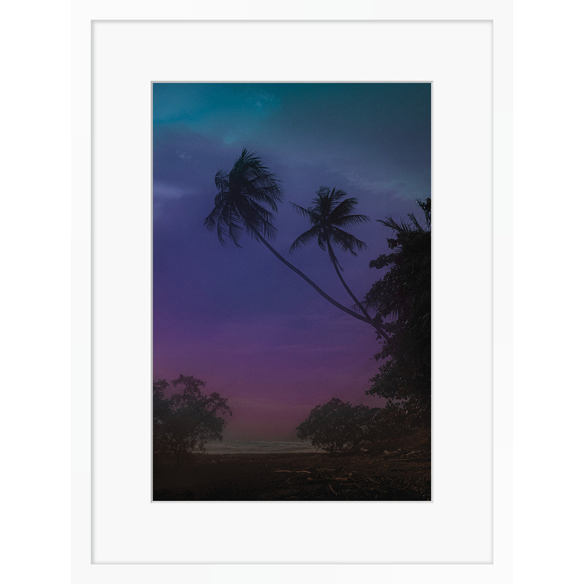 Jungle Shadows