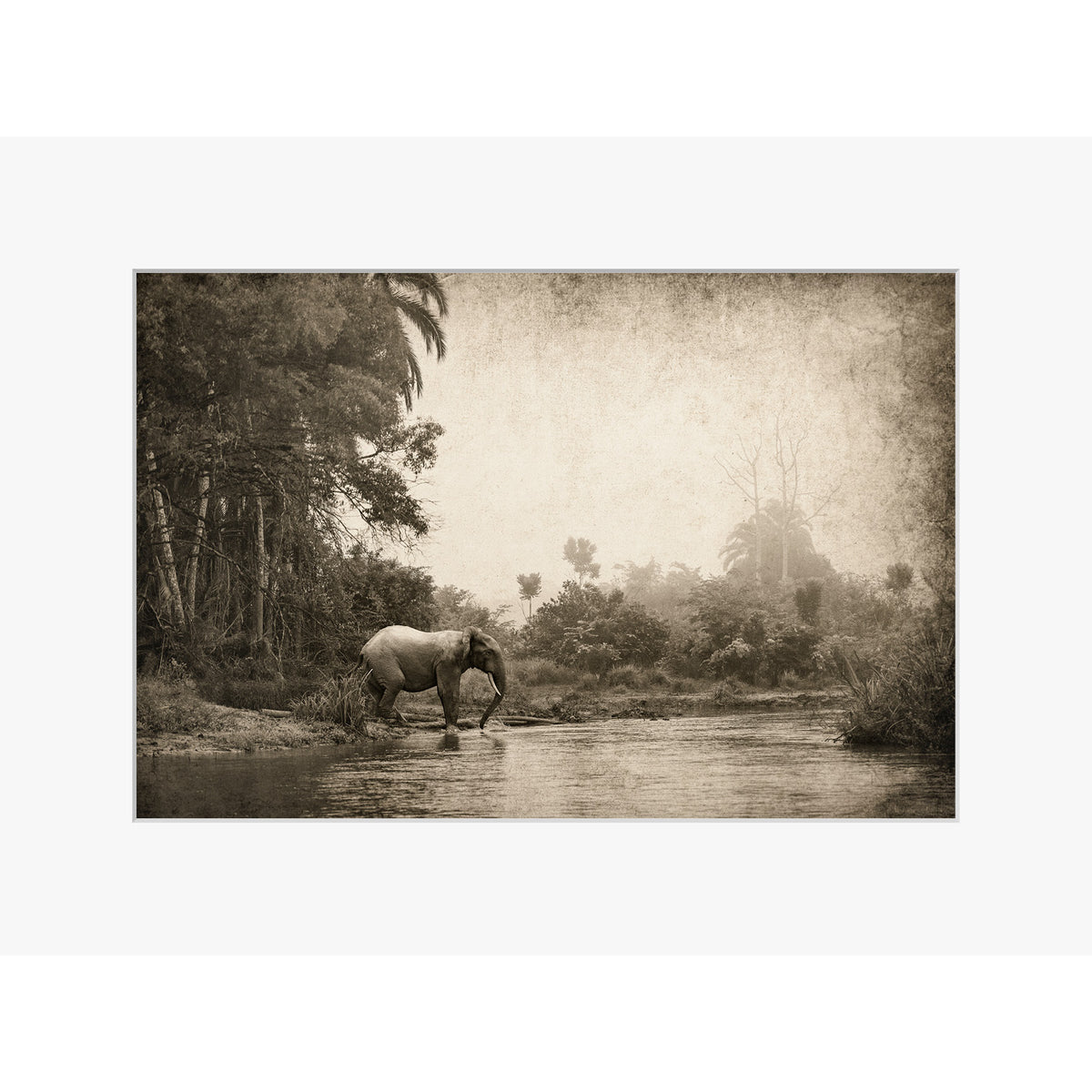 Congo - Crossing