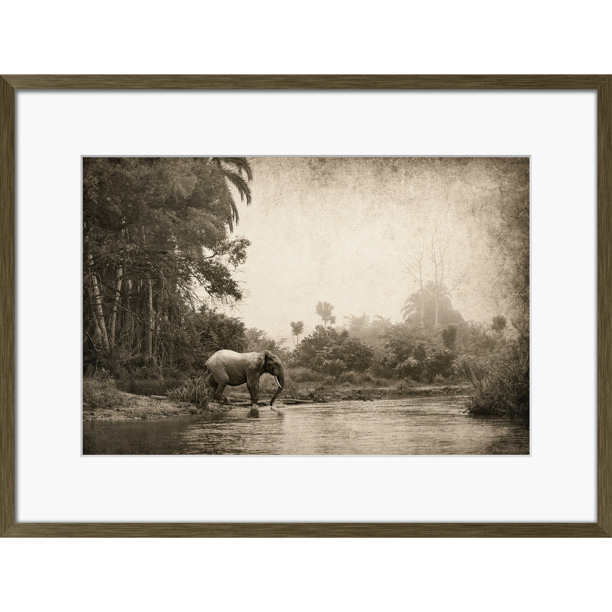 Congo - Crossing