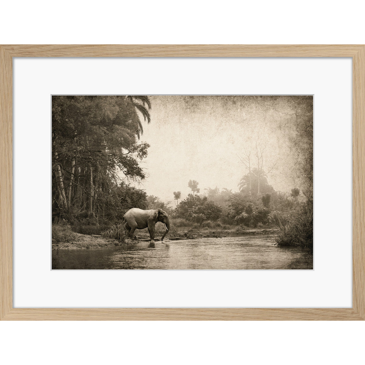 Congo - Crossing