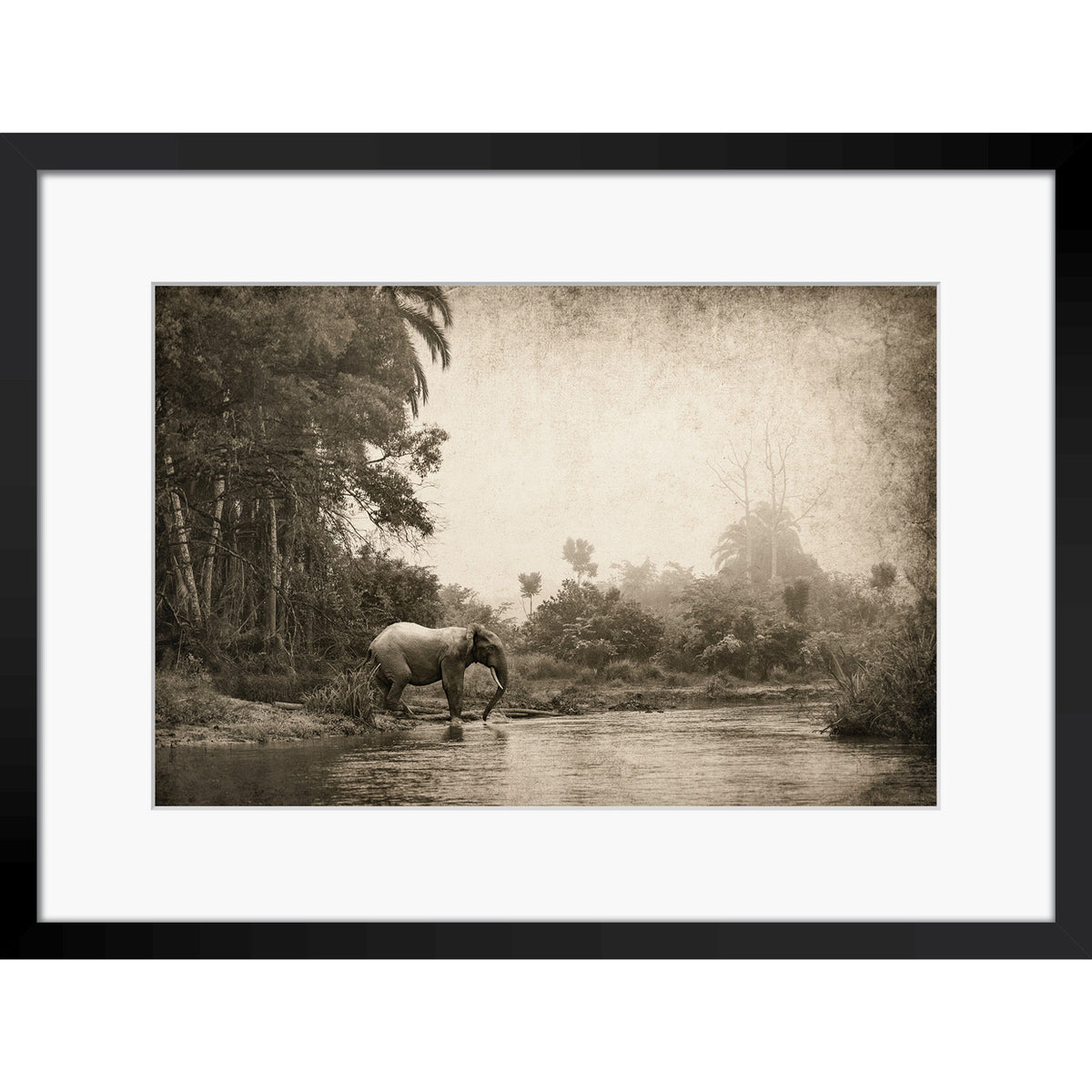 Congo - Crossing