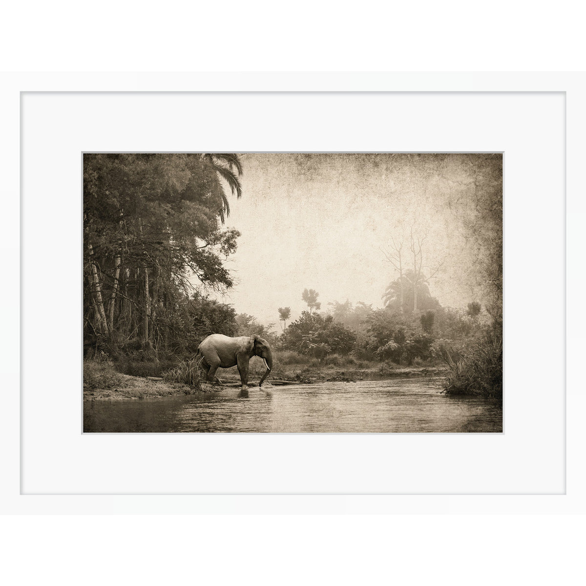 Congo - Crossing