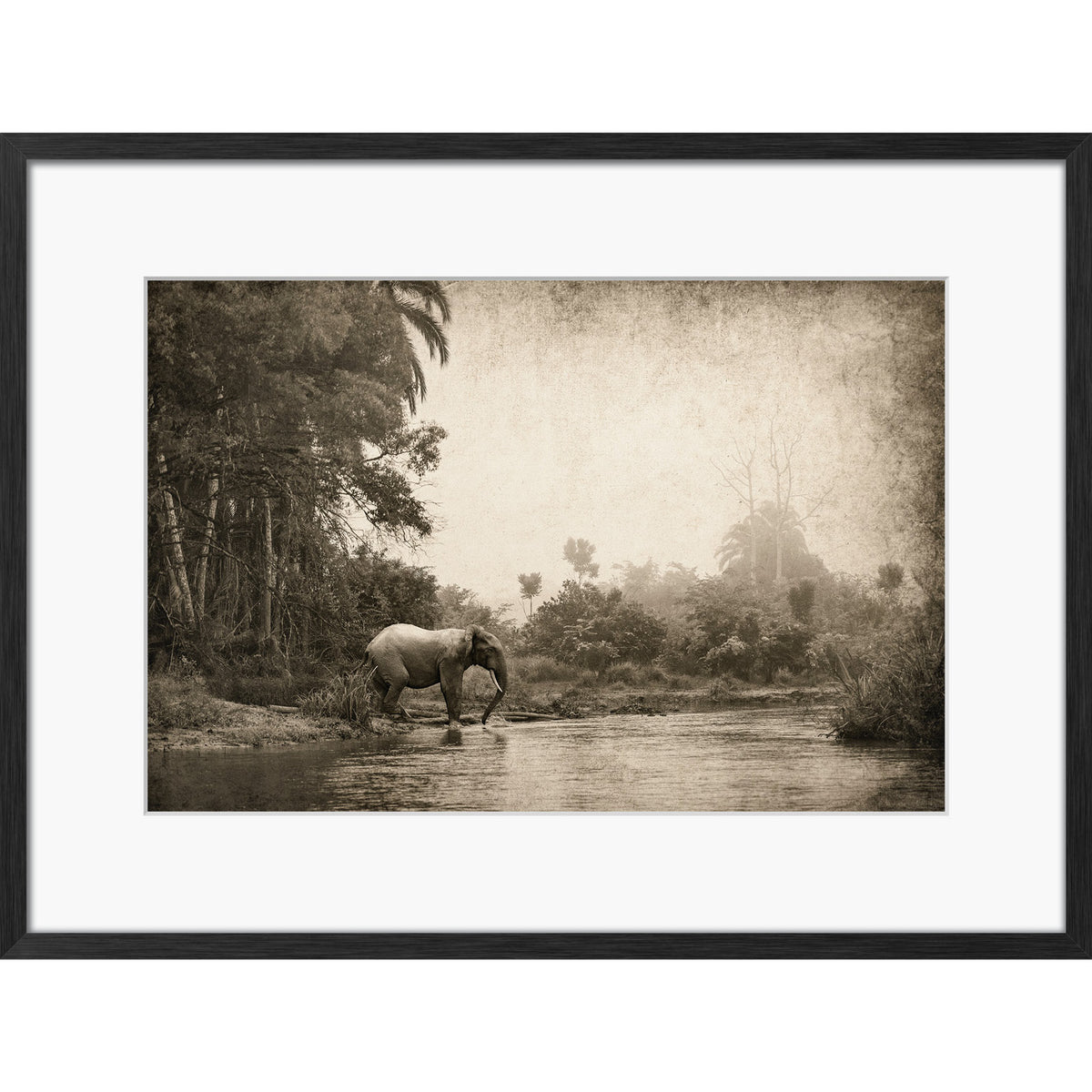 Congo - Crossing