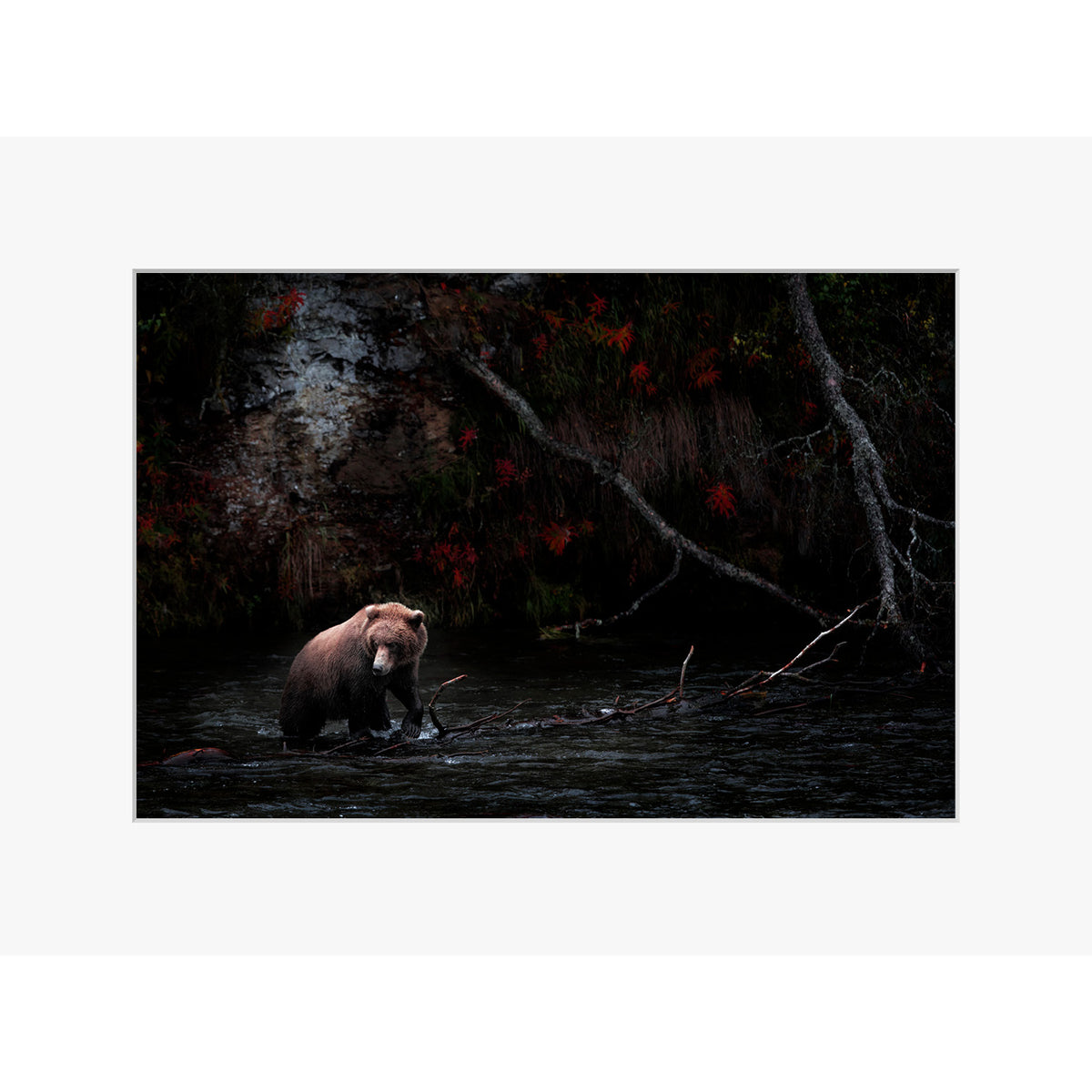 Dark Autumn