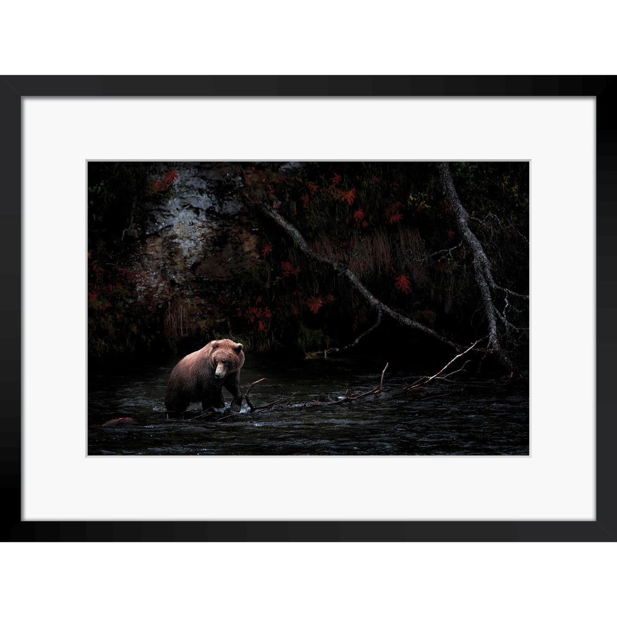Dark Autumn