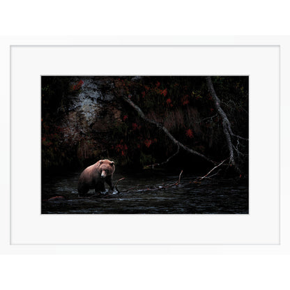 Dark Autumn