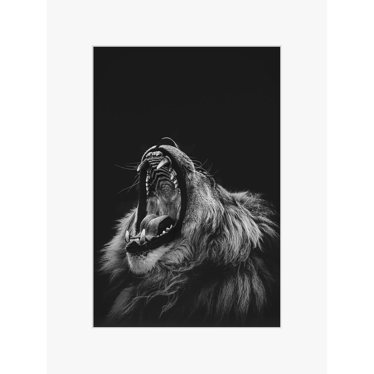 Roarrr