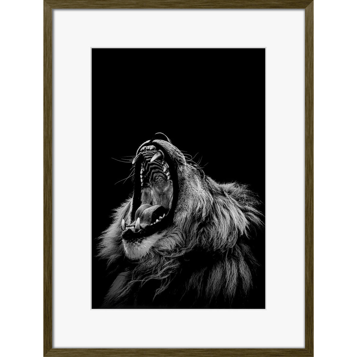 Roarrr