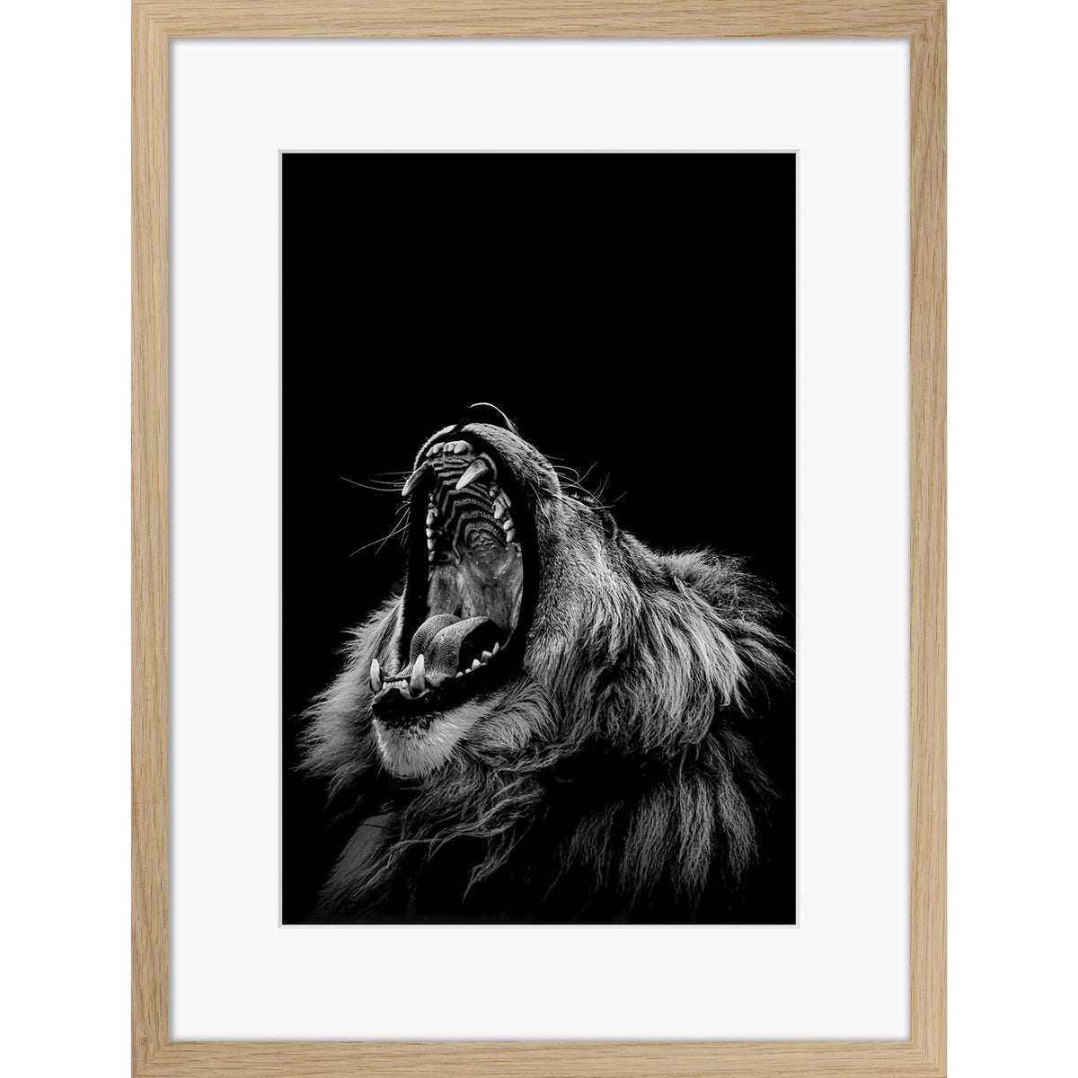 Roarrr