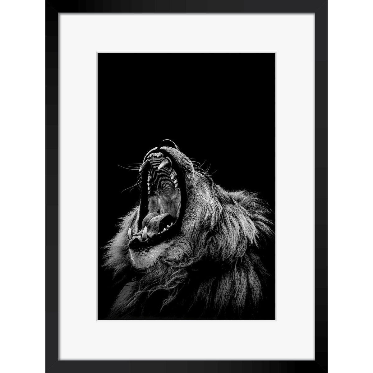 Roarrr
