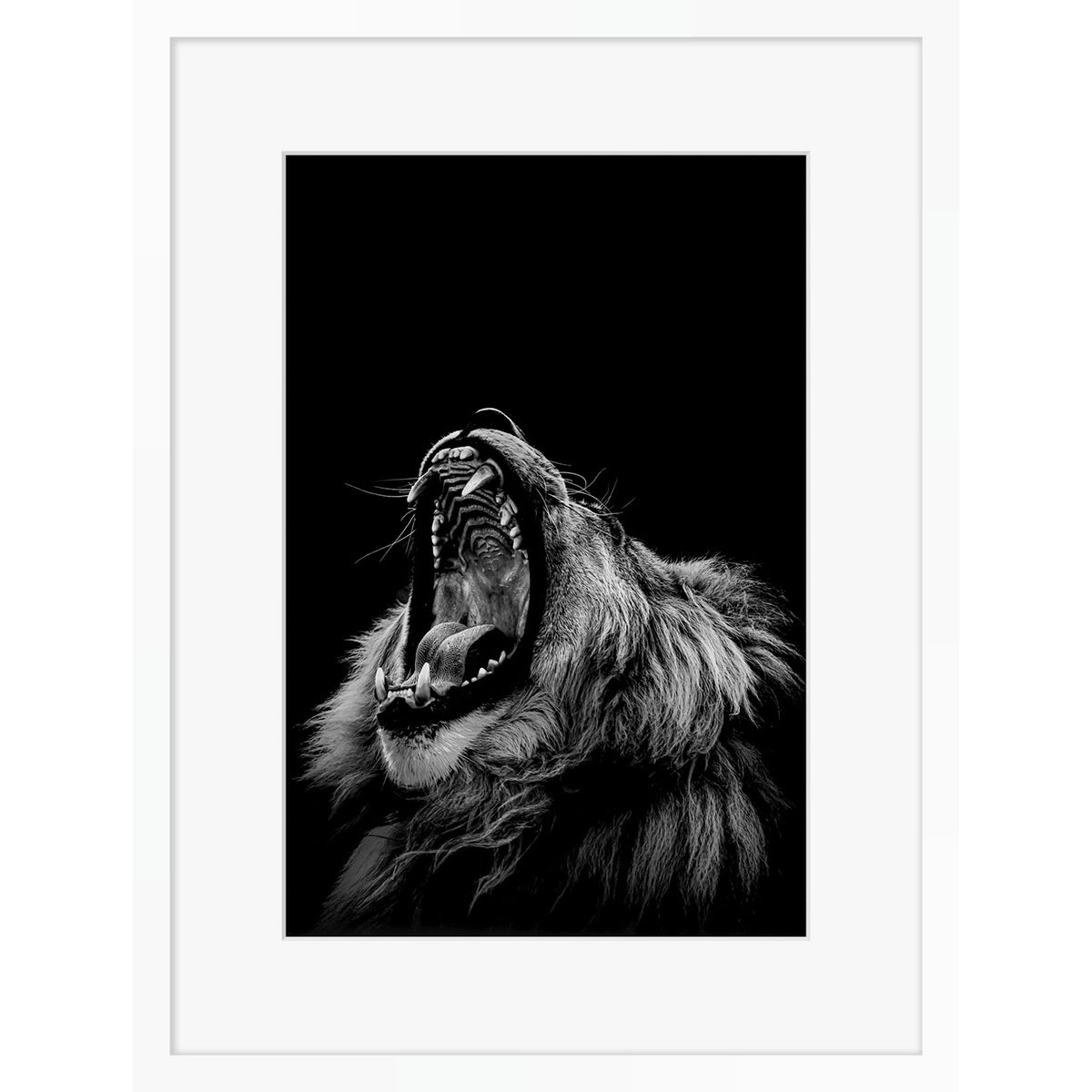 Roarrr