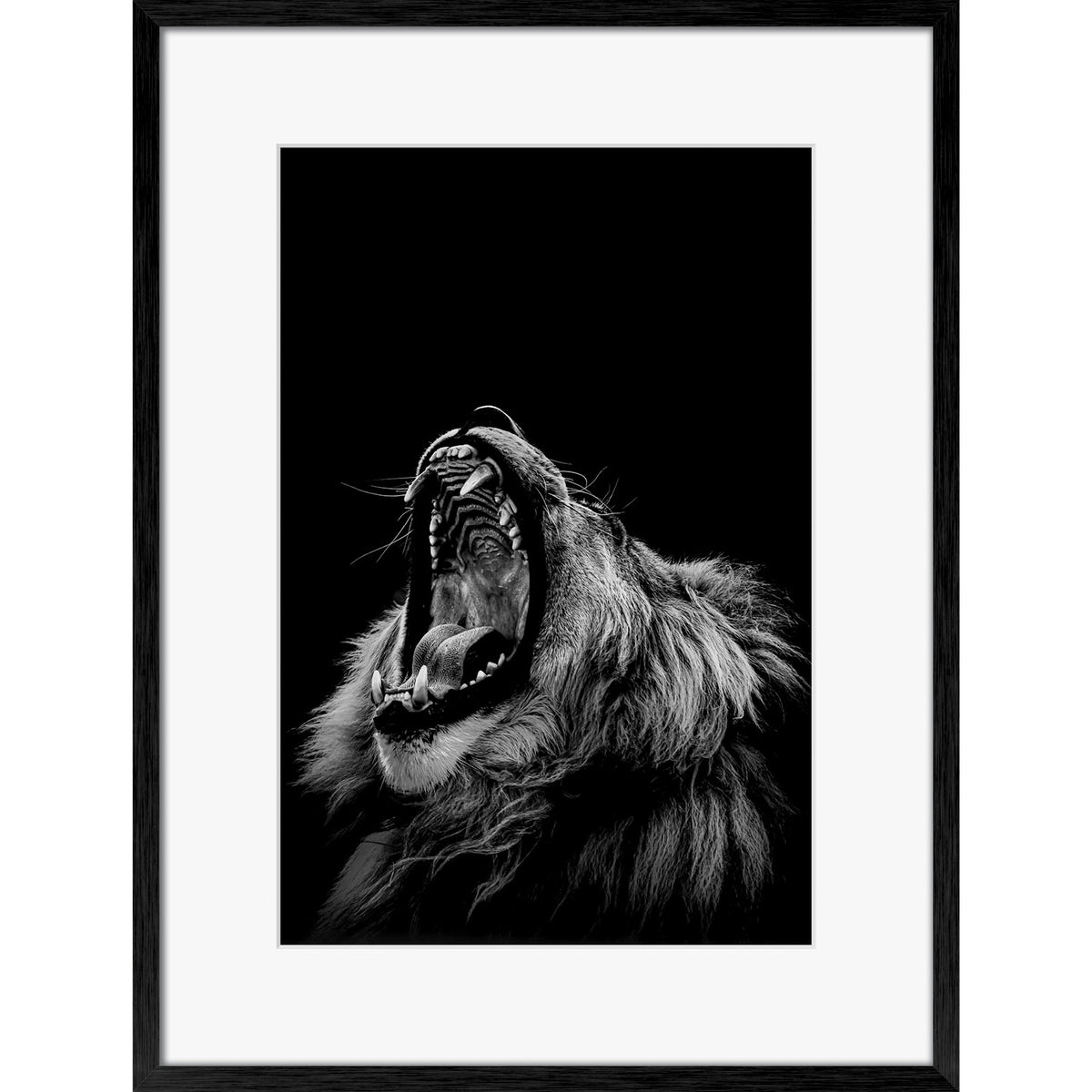 Roarrr