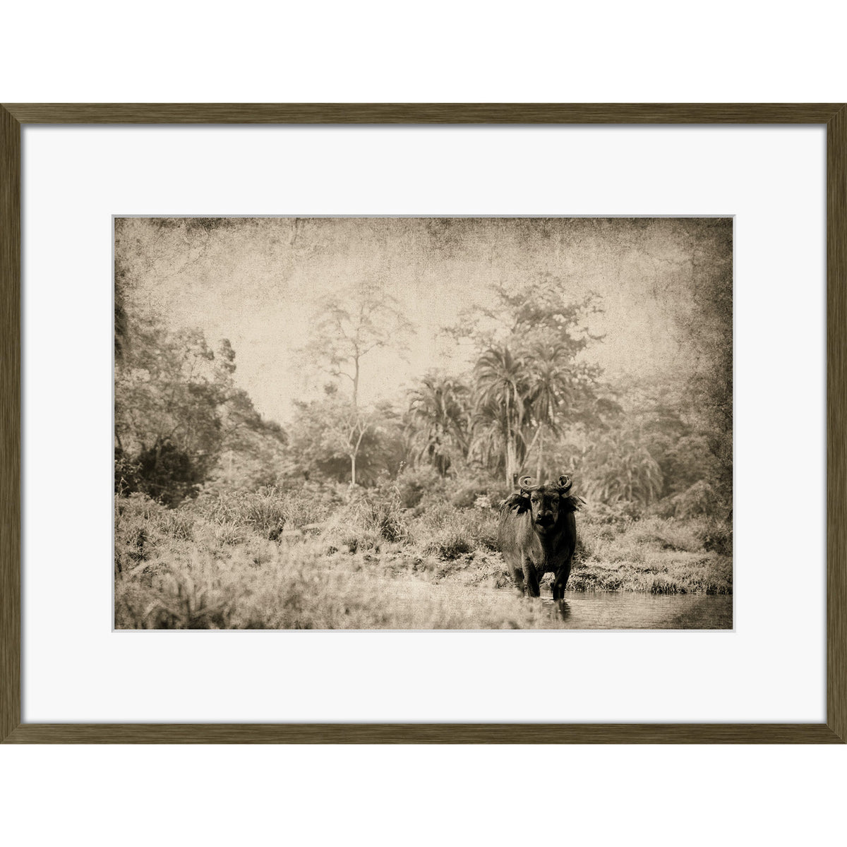 The Wanderer