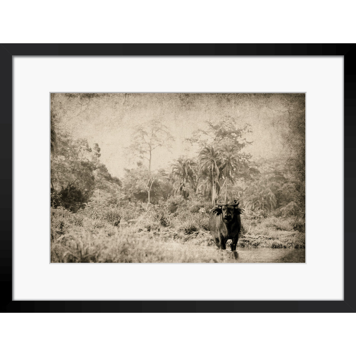 The Wanderer