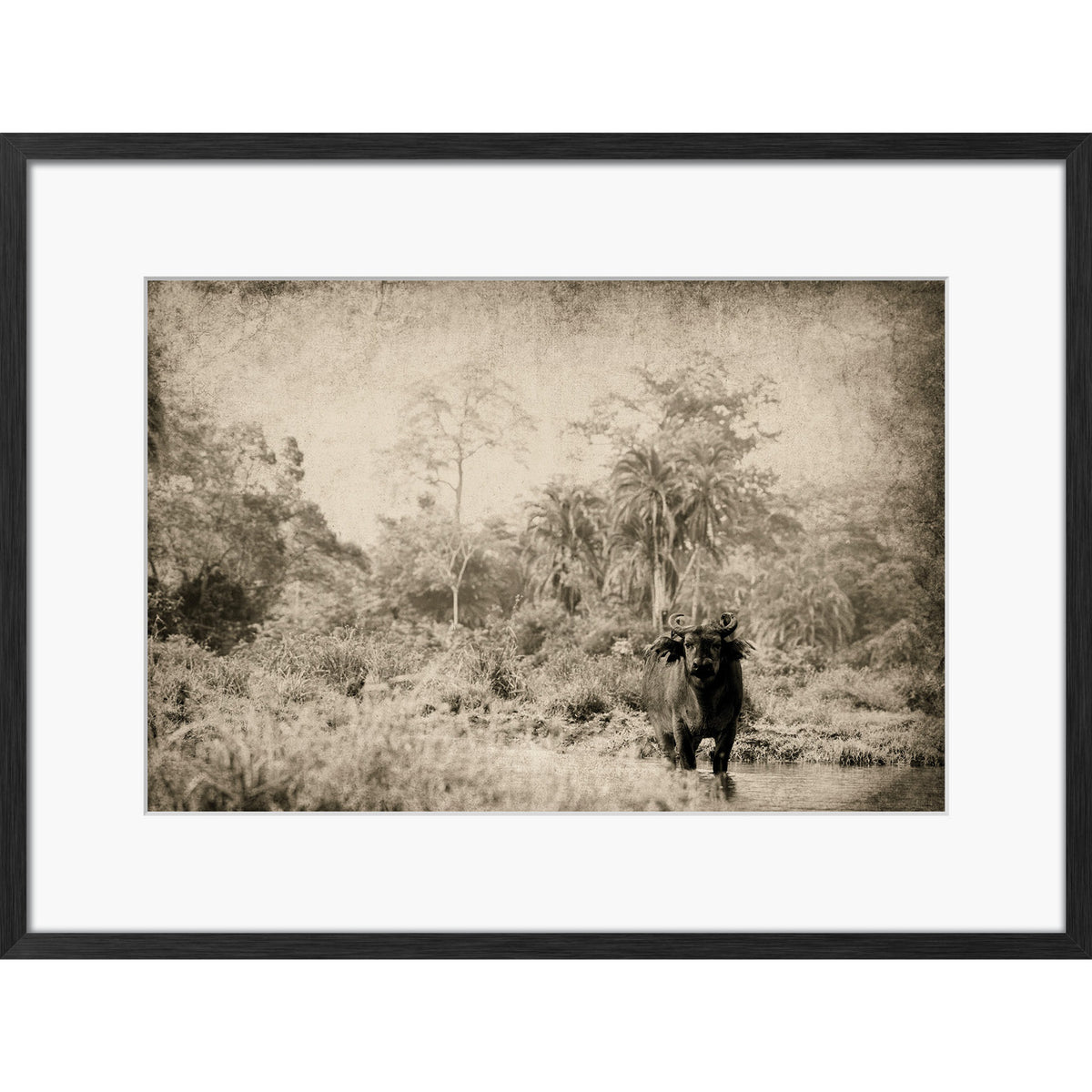 The Wanderer