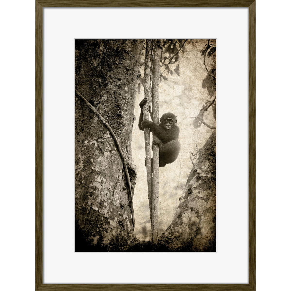 Tree Hugger