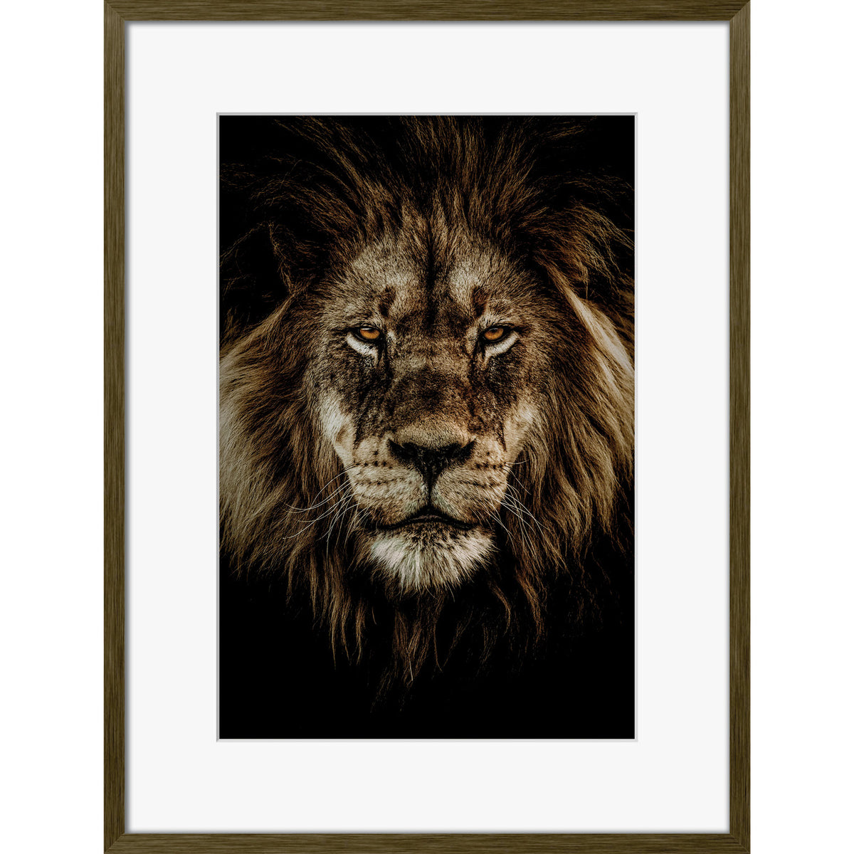 Wild Majesty