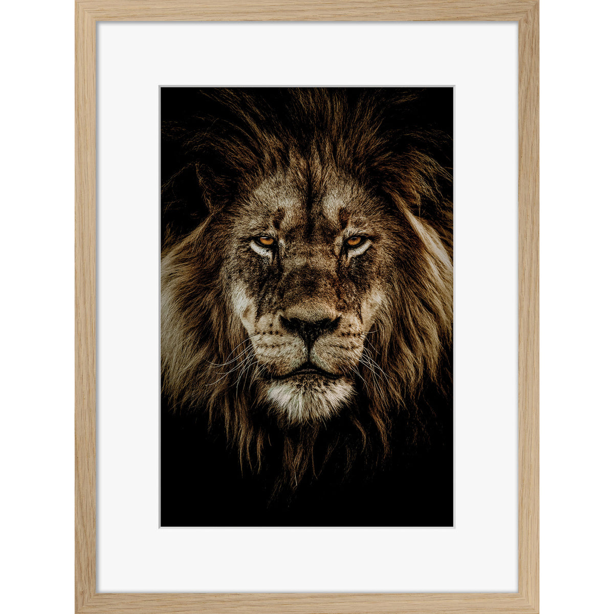 Wild Majesty