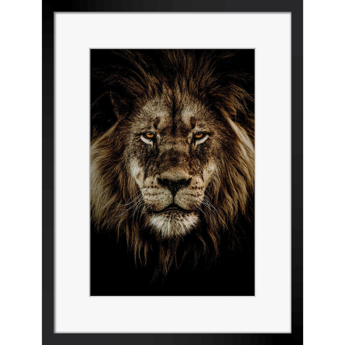Wild Majesty